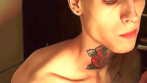 Cutiesgaplex for cash