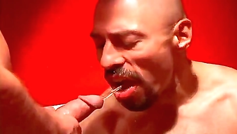 Sexy chick gets banged by a stripper