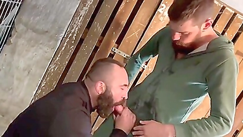 Mas isn fuck with horny couple